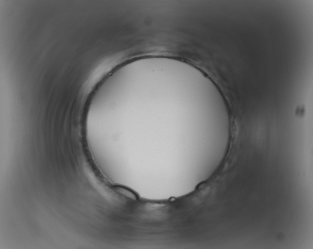 X0000113210055200910081327