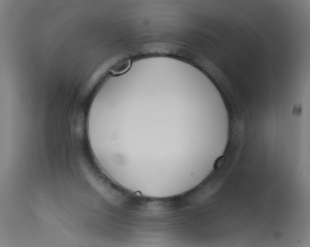 X0000113210064200910081327