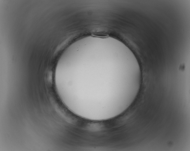 X0000113210067200910081327