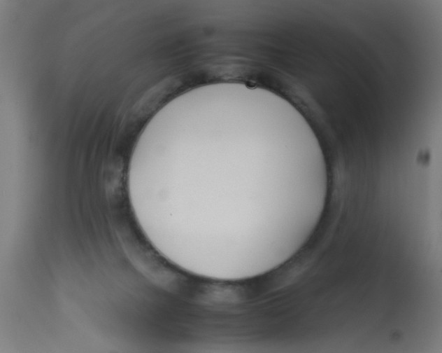 X0000113210073200910081327