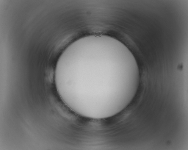 X0000113210076200910081327