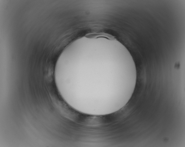 X0000113210082200910081327