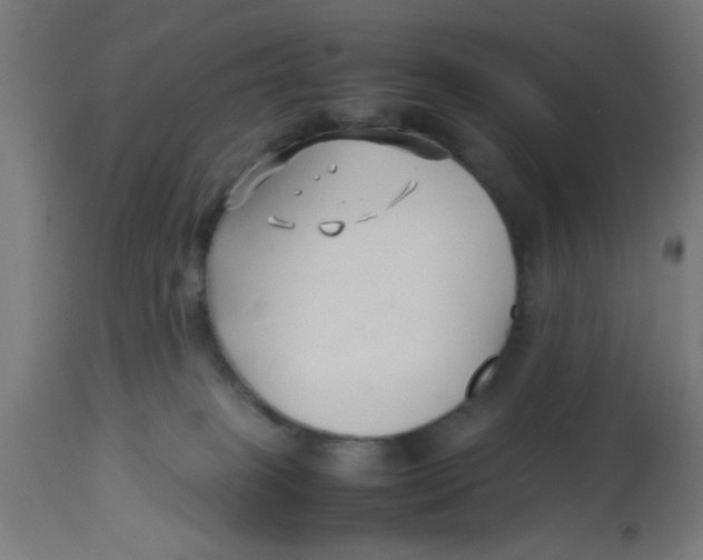 X0000113210085200910081327