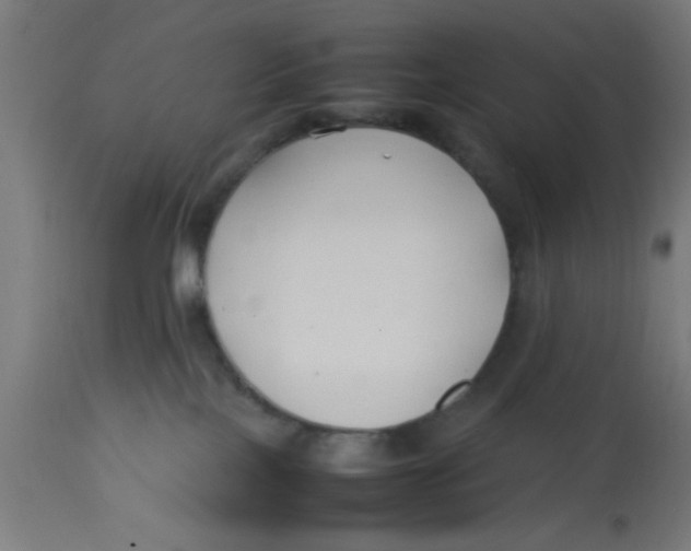 X0000113210089200910081327