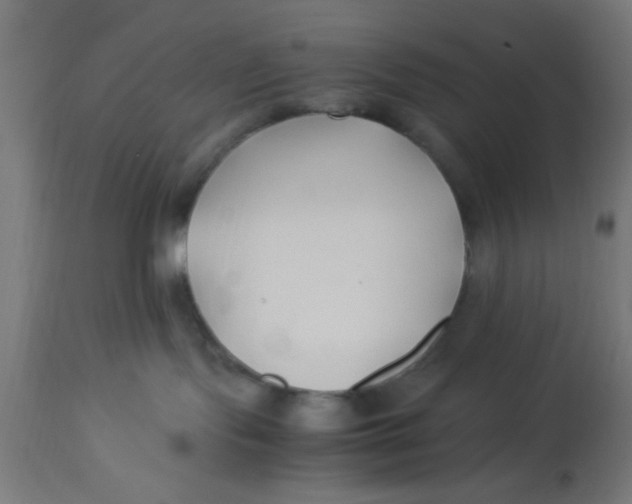 X0000113210095200910081327