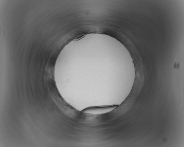 X0000113210096200910081327