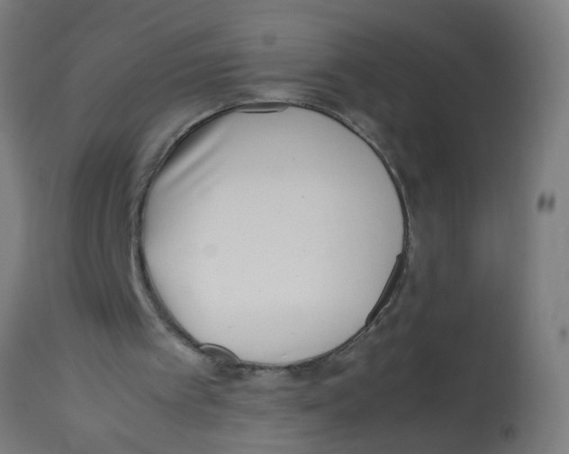 X0000113210097200910081327