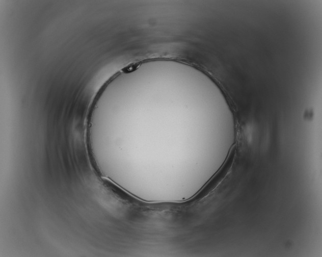 X0000113210100200910081327