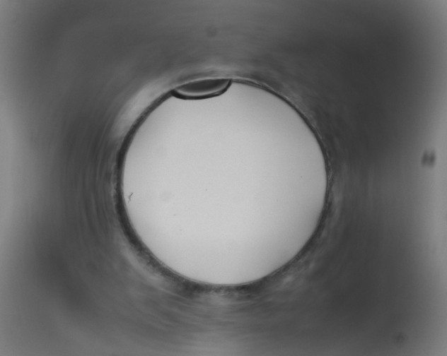 X0000113210103200910081326