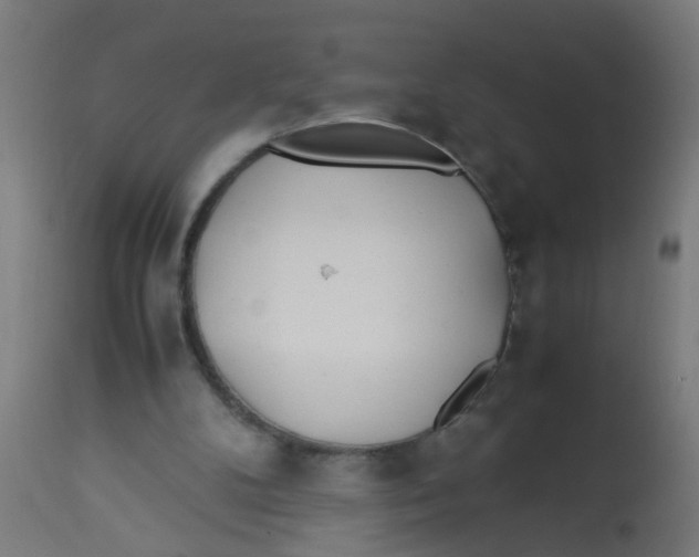 X0000113210104200910081326