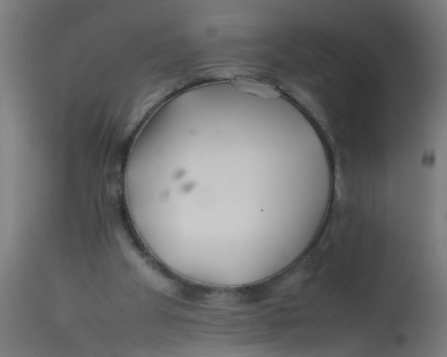 X0000113210105200910081326