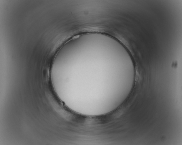 X0000113210109200910081326