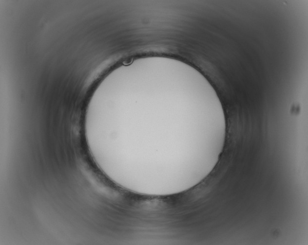 X0000113210112200910081326