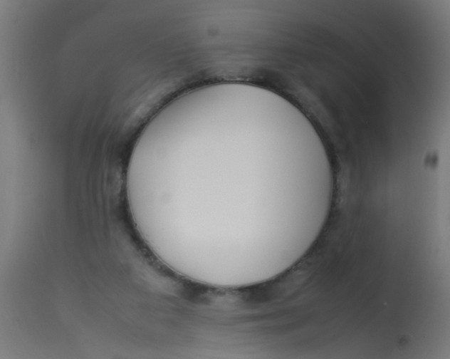 X0000113210113200910081326