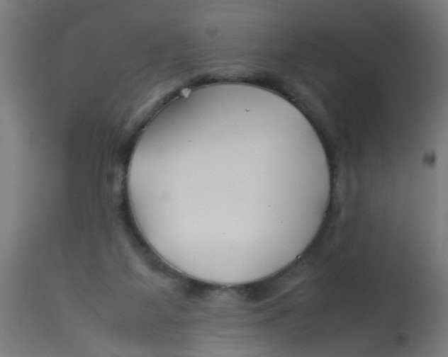 X0000113210115200910081326