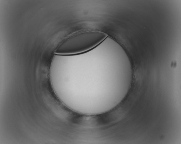 X0000113210117200910081326