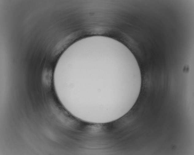 X0000113210118200910081326