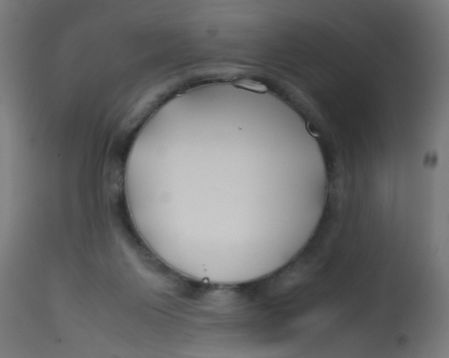 X0000113210119200910081326