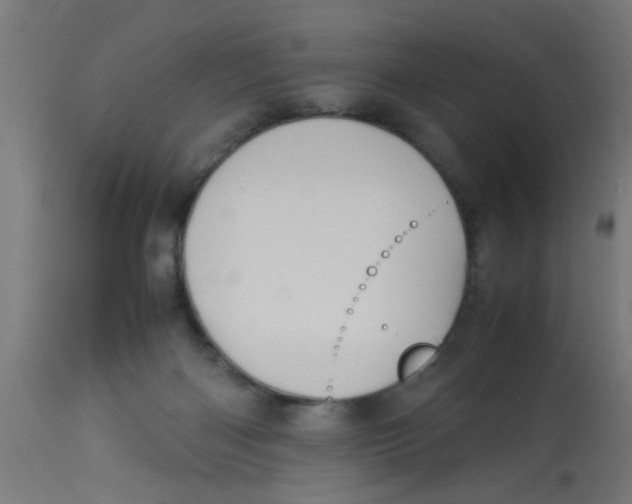 X0000113210122200910081326