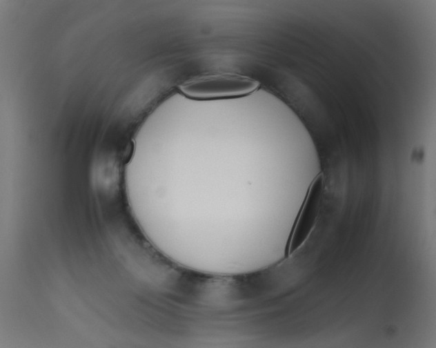 X0000113210124200910081326