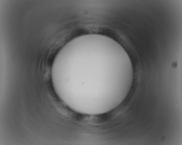 X0000113210125200910081326