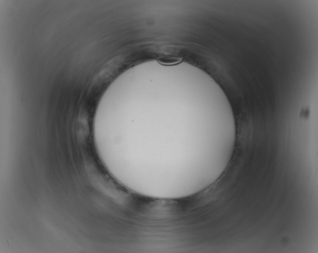 X0000113210128200910081326