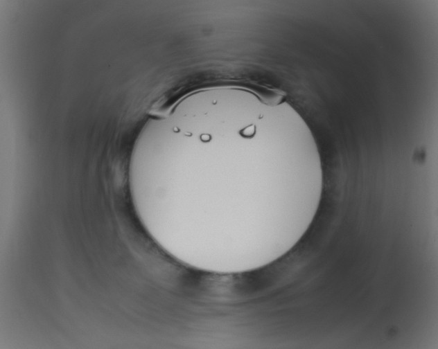 X0000113210131200910081326