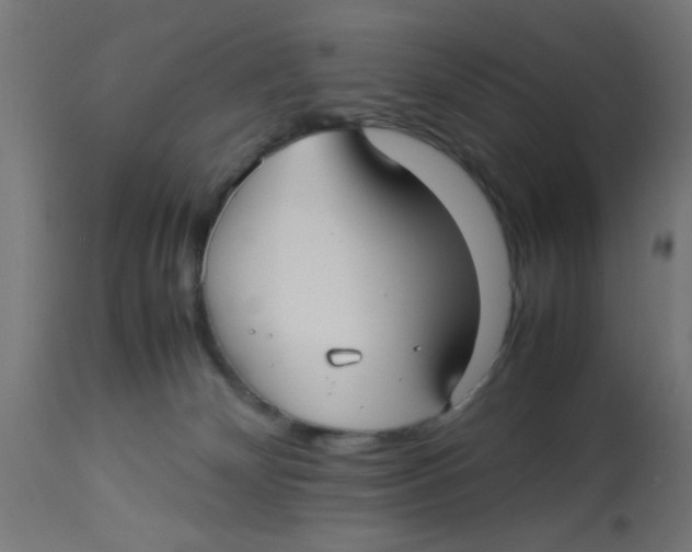 X0000113210132200910081326