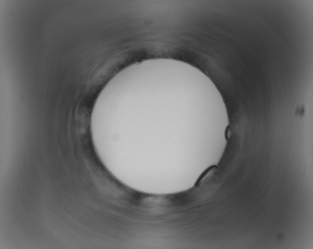 X0000113210133200910081326