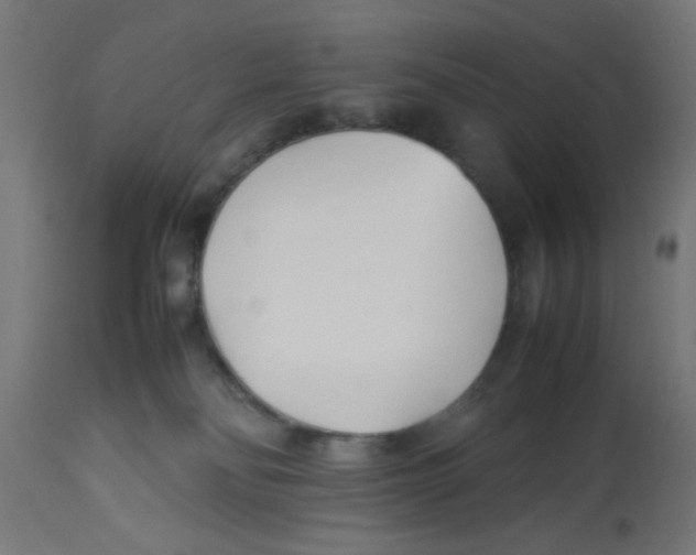 X0000113210134200910081326