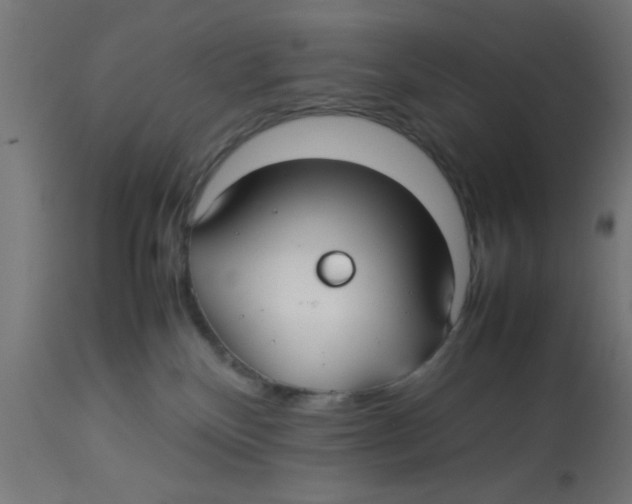 X0000113210136200910081326