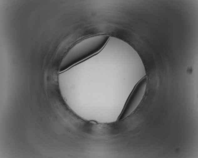 X0000113210137200910081326