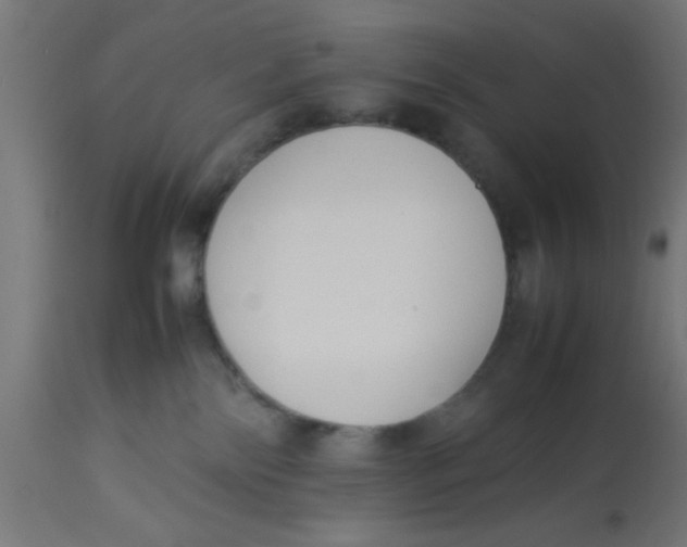 X0000113210138200910081326