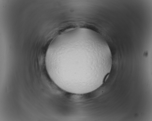 X0000113210139200910081326