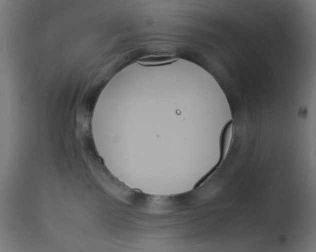 X0000113210141200910081326