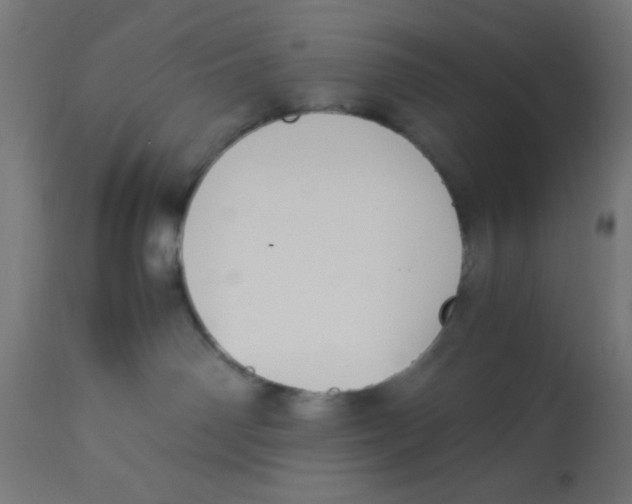 X0000113210142200910081326