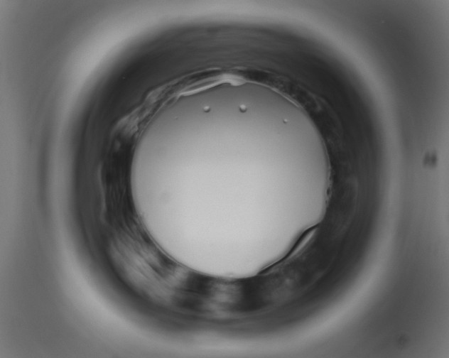 X0000113210143200910081326