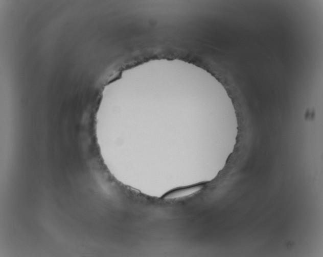 X0000113210144200910081326