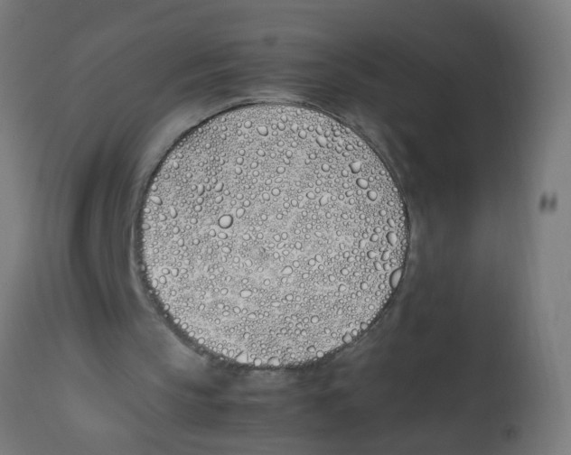 X0000113210145200910081325