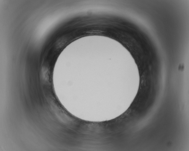 X0000113210146200910081325