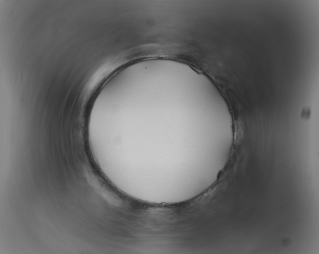 X0000113210150200910081325