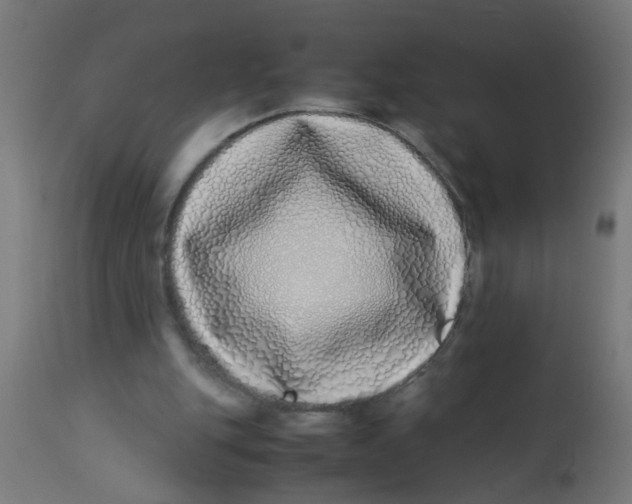 X0000113210151200910081325