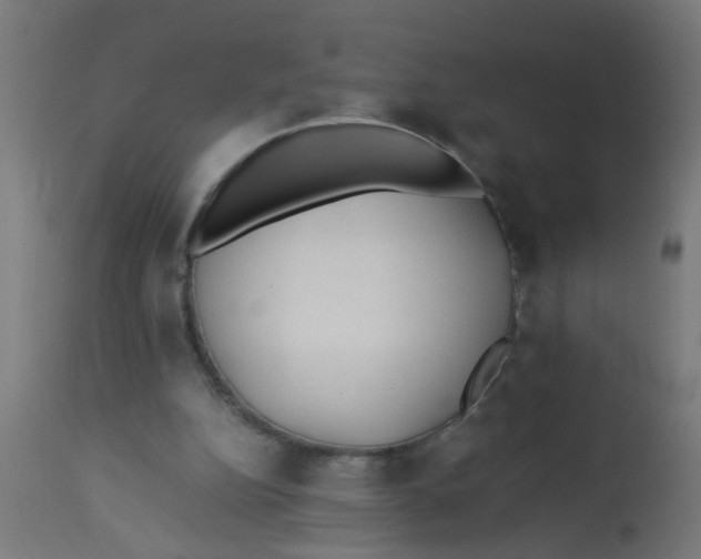 X0000113210152200910081325