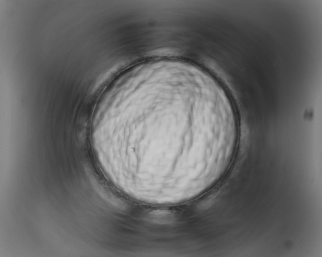 X0000113210153200910081325