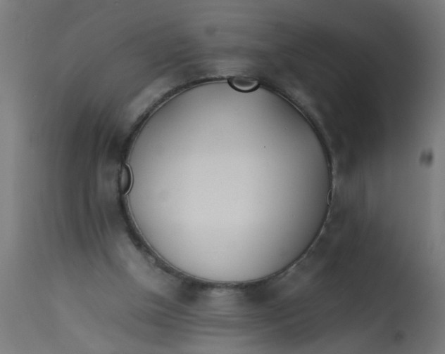 X0000113210154200910081325