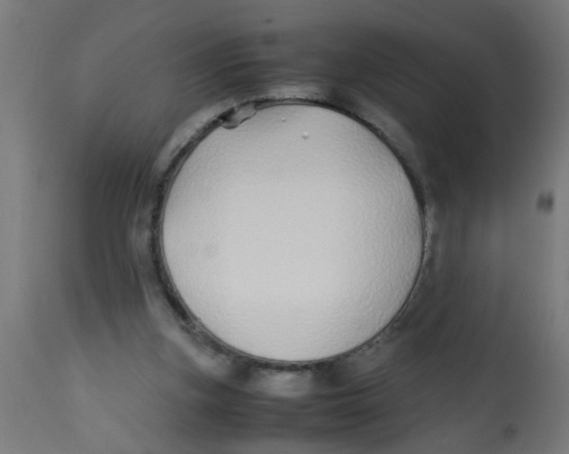 X0000113210155200910081325