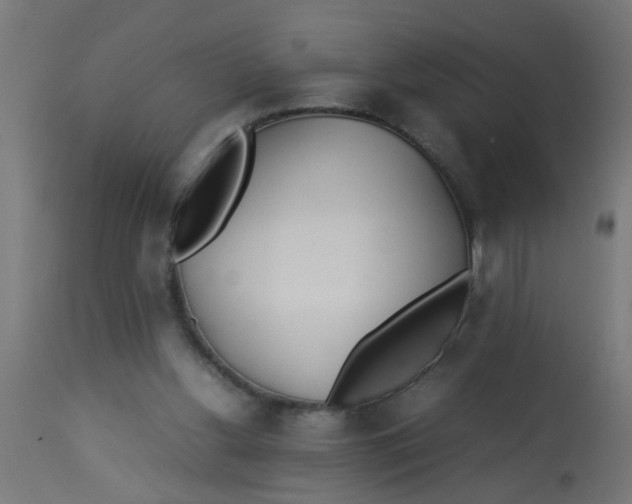 X0000113210156200910081325