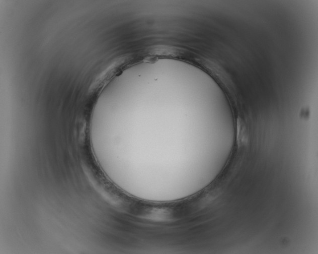 X0000113210157200910081325