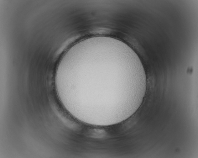 X0000113210159200910081325