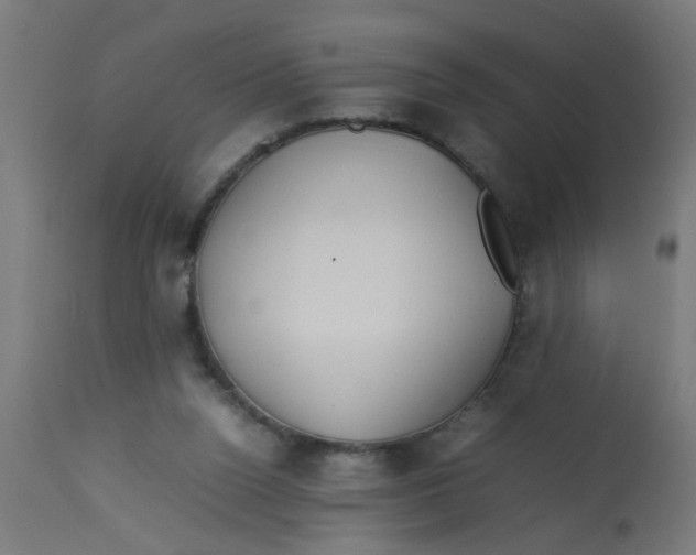 X0000113210160200910081325